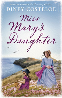 Miss Mary's Daughter by Diney Costeloe - Hardback