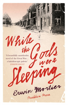 While the Gods Were Sleeping by Erwin Mortier - Paperback