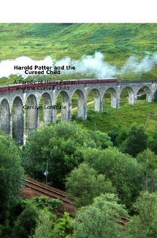 Harold Patter and the Cursed Child : A Parody of Harry Potter and the Cursed Child by Carolyn Lonsdale - Paperback