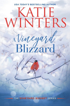 A Vineyard Blizzard : 12 by Katie Winters - Paperback