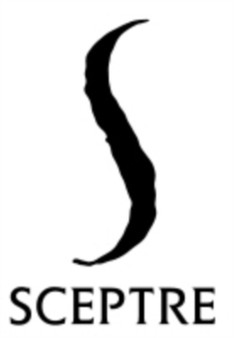 The Wife's Tale : A Novel by Lori Lansens - Hardback