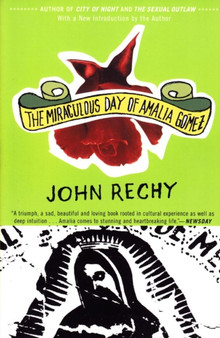 The Miraculous Day of Amalia Gomez by John Rechy - Paperback