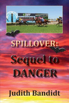 Sequel to Danger : 2 by Judith Bandidt - Paperback
