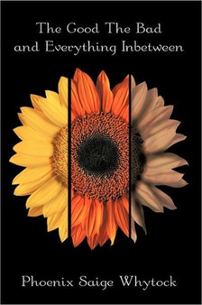 The Good The Bad and Everything Inbetween by Phoenix Saige Whytock - Paperback