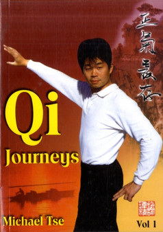 Qi Journeys : Collected Stories by Michael Tse v. 1 by Michael Tse - Paperback