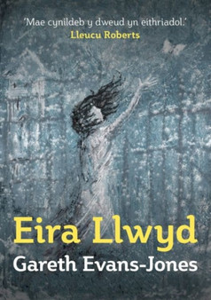 Eira Llwyd by Gareth Evans-Jones - Paperback