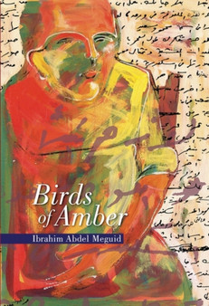 Birds of Amber by Ibrahim Abdel Meguid - Paperback