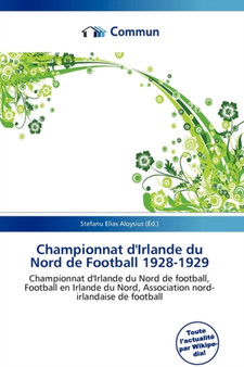 Championnat D'Irlande Du Nord de Football 1928-1929 by Stefanu Elias Aloysius - Paperback