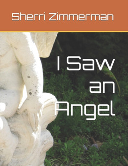 I Saw an Angel by Sherri L Zimmerman - Paperback