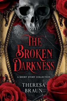The Broken Darkness by Theresa A Braun - Paperback