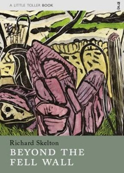 Beyond the Fell Wall by Richard Skelton - Paperback