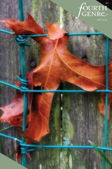 Fourth Genre 17, No. 2 : Explorations in Nonfiction by Laura Julier - Paperback