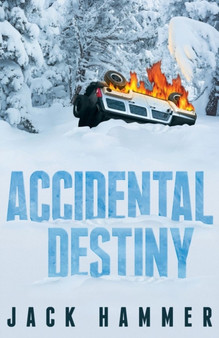 Accidental Destiny by Jack Hammer - Paperback