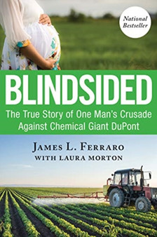 Blindsided by James L. Ferraro - Paperback