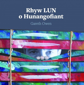 Rhyw LUN o Hunangofiant by Gareth Owen - Paperback