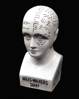 Miles Walker's Diary by Miles Walker - Paperback