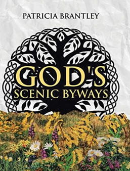 God's Scenic Byways by Patricia Brantley - Hardback