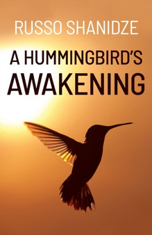 A Hummingbird's Awakening by Russo Shanidze - Paperback