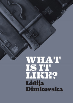 What Is It Like? by Lidija Dimkovska - Paperback
