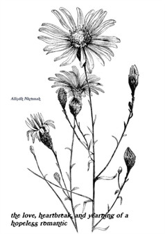 The love, heartbreak, and yearning of a hopeless romantic by Alliyah Nkrumah - Paperback