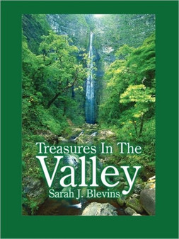 Treasures In The Valley by Sarah J. Blevins - Paperback