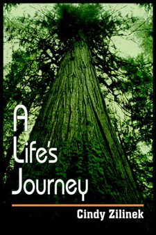 A Life's Journey by Cindy Zilinek - Paperback