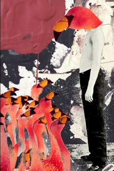 Fame by Moan Lisa - Paperback