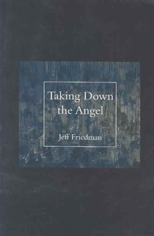 Taking Down the Angel by Jeff Friedman - Paperback