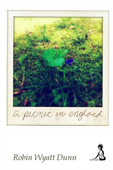 A Picnic In England by Robin Wyatt Dunn - Paperback