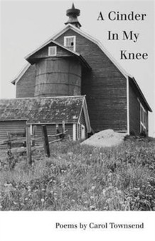 A Cinder In My Knee by Carol Townsend - Paperback