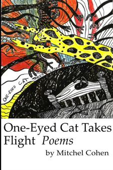 One-Eyed Cat Takes Flight by Mitchel Cohen - Paperback