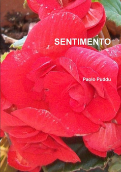 Sentimento by Paolo Puddu - Paperback