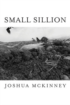 Small Sillion by Joshua McKinney - Paperback