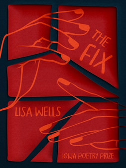 The Fix by Lisa Wells - Paperback