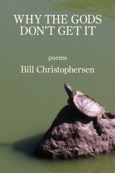 Why the Gods Don't Get It by Bill Christophersen - Paperback