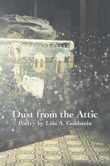 Dust from the Attic by Lois a Goldstein - Paperback