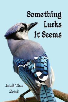 Something Lurks It Seems by Amitabh Vikram Dwivedi - Paperback