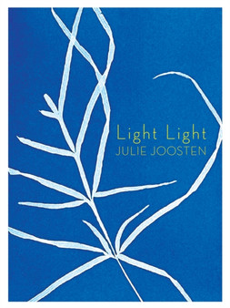 Light Light by Julie Joosten - Paperback