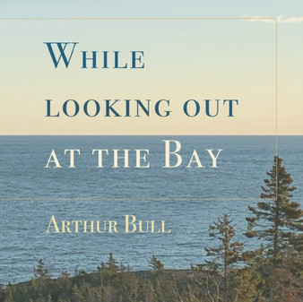 While looking out at the Bay by Arthur Bull - Paperback