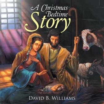 A Christmas Bedtime Story by David B Williams - Paperback