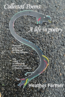Collected Poems : A Life in Poetry by Heather Farmer - Paperback