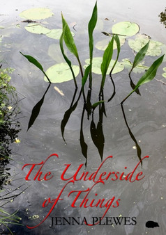 The Underside of Things by Jenna Plewes - Paperback