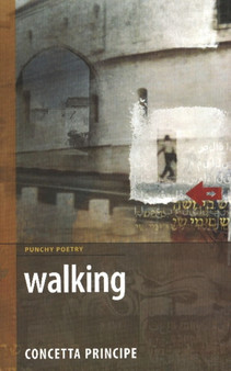 Walking : Not a Nun's Diary by Concetta Principe - Paperback