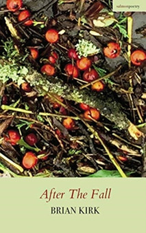 After the Fall by Brian Kirk - Paperback