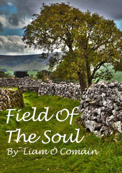 Field Of The Soul by Liam O' Comain - Paperback