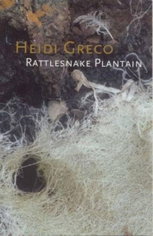 Rattlesnake Plantain by Heidi Greco - Paperback