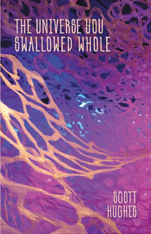The Universe You Swallowed Whole by Hughes Scott Hughes - Paperback