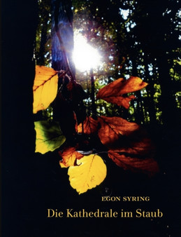 Die Kathedrale im Staub by Egon Syring - Paperback