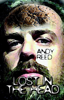 Lost in the Head by Andy Reed - Paperback