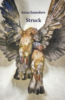 Struck by Anna Saunders - Paperback